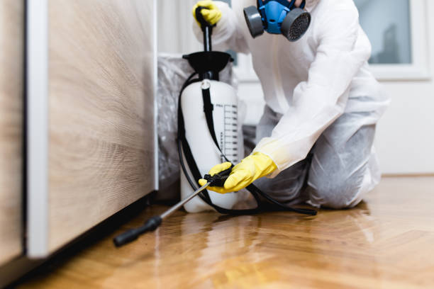 Best Flea Control Services  in Frent Hills, MO