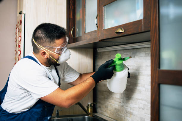 Best Pest Inspection Near Me  in Frent Hills, MO